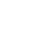 Daniele Bastianelli Graphic Designer & Web Designer logo white